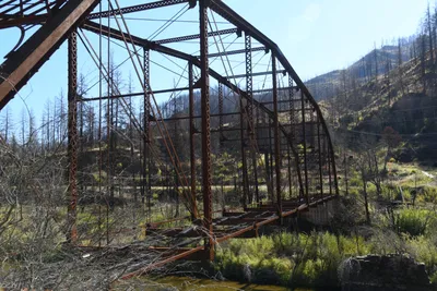 DSC_6474 (Large).JPG